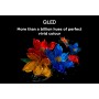 TCL P7K Serie Smart TV QLED 4K 43" 43P7K, Dolby Vision - Atmos, HDR10+, Google TV