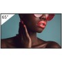 65  4K 24/7 PROFESSIONAL BRAVIA (FW-65BZ40L)