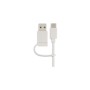 LMP MS-1657C mouse USB tipo A Ottico 1600 DPI (LMP-20442)