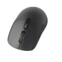 6-BUTTON DUAL MODE WIRELESS MOUSE (245123)