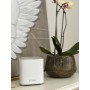 D-Link COVR-X1863 punto accesso WLAN 1800 Mbit/s Bianco Supporto Power over Ethernet (PoE)