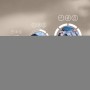 Electrolux SensiCare 600 EW6FM29G Lavatrice serie 600 SensiCare 9 kg (914932055)