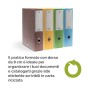 SCATOLA PROGETTO HOLOS D8 VERDE (100102113)