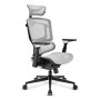 Sharkoon OfficePal C50M Seduta imbottita Schienale a rete (OFFICEPAL C50M)