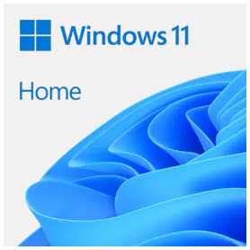 WIN HOME FPP 11 64-BIT ITALIAN USB (HAJ-00115)