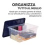 CONTENITORE PLASTICA COPERCHIO 38L (100135772)