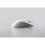 Razer PRO CLICK mouse Mano destra Wireless a RF + Bluetooth Ottico 16000 DPI (RZ01-02990100-R3M1) (01-02990100-R3M)