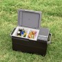 EcoFlow Glacier borsa frigo 38 L Elettrico Nero, Grigio (ZYDBX100-EU)