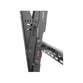 PDW T XL-2 (100014891)