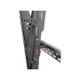 PDW T XL-2 (100014891)