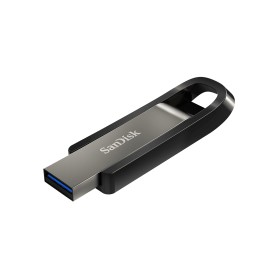 SanDisk Extreme Go unità flash USB 256 GB USB tipo A 3.2 Gen 1 (3.1 Gen 1) Acciaio inox (SDCZ810-256G-G46)
