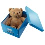 Leitz Click & Store scatola per la conservazione di documenti MDF, Polipropilene (PP) Blu (60440036)