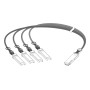 Extreme networks 40G-AOC-QSFP4SFP10M cavo InfiniBand e in fibra ottica 10 m QSFP+ 4x SFP