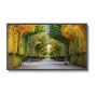 NEC MultiSync X554HB Pannello piatto per segnaletica digitale 139,7 cm (55") LED 2700 cd/m² Full HD Nero 24/7 (60003912)