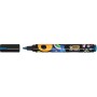 CF12 MARCATORI INTENSITYPAINT C.ASS (527426)