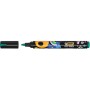 CF12 MARCATORI INTENSITYPAINT C.ASS (527426)