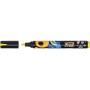 CF12 MARCATORI INTENSITYPAINT C.ASS (527426)