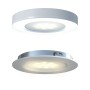 Innr Lighting PL 115 faretto Faretto d'illuminazione da superficie Argento, Bianco LED 3 W (PL 115) (PL115)