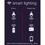 Innr Lighting RC 110 telecomando Z-Wave Illuminazione domestica intelligente Pulsanti (RC 110)