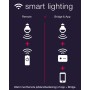 Innr Lighting RC 110 telecomando Z-Wave Illuminazione domestica intelligente Pulsanti (RC 110)
