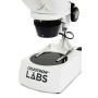 Celestron LABS S10-60 60x Microscopio ottico (CM44208-DS)