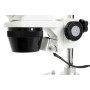 Celestron LABS S10-60 60x Microscopio ottico (CM44208-DS)