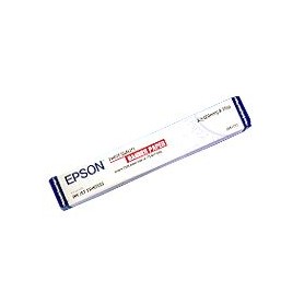 Epson Carta speciale (720/1440 dpi), finitura opaca, in rotoli da 420mm x 15m (C13S041102)