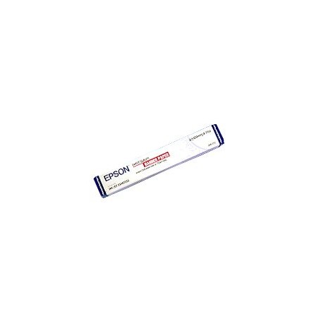 Epson Carta speciale (720/1440 dpi), finitura opaca, in rotoli da 420mm x 15m (C13S041102)