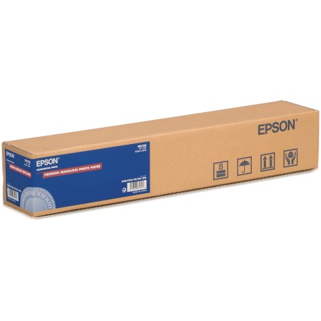 Epson Carta fotografica semilucida Premium, in rotoli da 60, 96cm (24'') x 30, 5m (C13S041393)