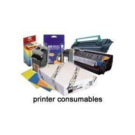Epson Carta sintetica adesiva qualità extra, in rotoli da111,8cm (44'') x 30, 5m. (C13S041619)