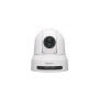 Sony SRG-X40UH Cupola Telecamera di sicurezza IP Interno 3840 x 2160 Pixel Soffitto/muro (SRG-X40UH/WC)