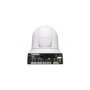 Sony SRG-X40UH Cupola Telecamera di sicurezza IP Interno 3840 x 2160 Pixel Soffitto/muro (SRG-X40UH/WC)
