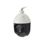 LevelOne FCS-4048 Telecamera di sicurezza IP Interno e esterno Cupola 1920 x 1080 Pixel Soffitto (FCS-4048)