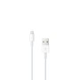 Apple iPod touch 32GB Lettore MP4 Grigio (MVHW2BT/A)