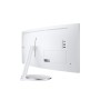 Samsung C34J791WTU 86,4 cm (34") 3440 x 1440 Pixel UltraWide Quad HD Grigio (LC34J791WTUXEN)