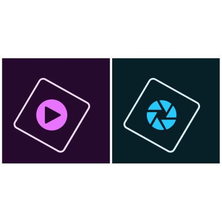 Adobe Photoshop Pro for Teams 1 licenza/e Rinnovo Multilingua 12 mese(i) (65308604BA13A12)