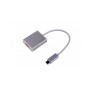 LMP USB-C to HDMI 2.0 adattatore grafico USB 3840 x 2160 Pixel Argento (15987)