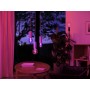 Philips 929003151501 soluzione di illuminazione intelligente Lampadina intelligente Bluetooth/Zigbee 6,8 W