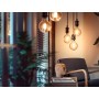 Philips Hue White Filament Lampadina Smart E27 40 W (929003052101)