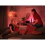 Philips Hue White and Color ambiance Play Estensione (alimentatore non incluso) Bianco (915005735501)
