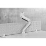Neomounts by Newstar Select Supporto da scrivania per monitor curvi (NM-D775WHITEPLU)