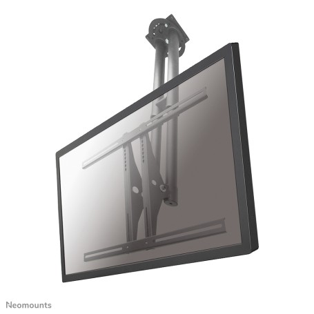 Neomounts by Newstar Supporto da soffitto per TV (PLASMA-C100)