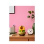 Nintendo Talking Flower (10017069)