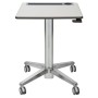 Ergotron LearnFit (24-481-003)