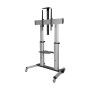 Tripp Lite DMCS60100XX Supporto per display espositivi 2,54 m (100") Nero, Argento