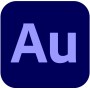 Adobe Audition Pro for Teams Editor audio Governativa (GOV) 1 licenza/e 3 anno/i (65309518BC12B12)