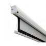 Celexon 1000008934 schermo per proiettore 3,2 m (126") 16:9 (1000008934)