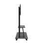Celexon 55120MP 3,05 m (120") Nero (1000009352)