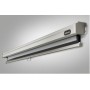 Celexon Rollo Professional schermo per proiettore 4,24 m (167") 1:1 (1090048)