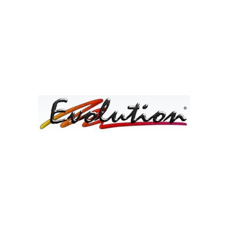 Evolution 4, UPG, 2U Pianificazione delle risorse aziendali (ERP) (8020779002748)